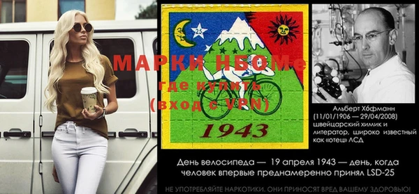 сатива Новодвинск