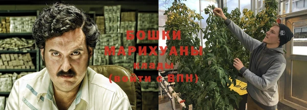 сатива Новодвинск