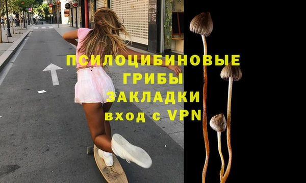 МДМА Новозыбков