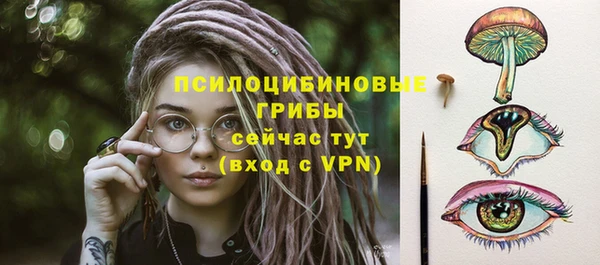 сатива Новодвинск