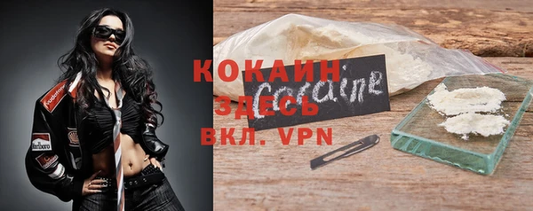 сатива Новодвинск