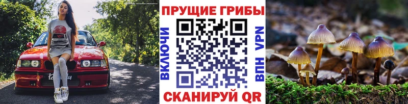 Псилоцибиновые грибы GOLDEN TEACHER цены наркотик Котовск