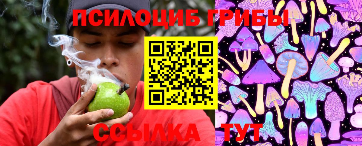 Галлюциногенные грибы мицелий  Котовск  Галлюциногенные грибы Cubensis 